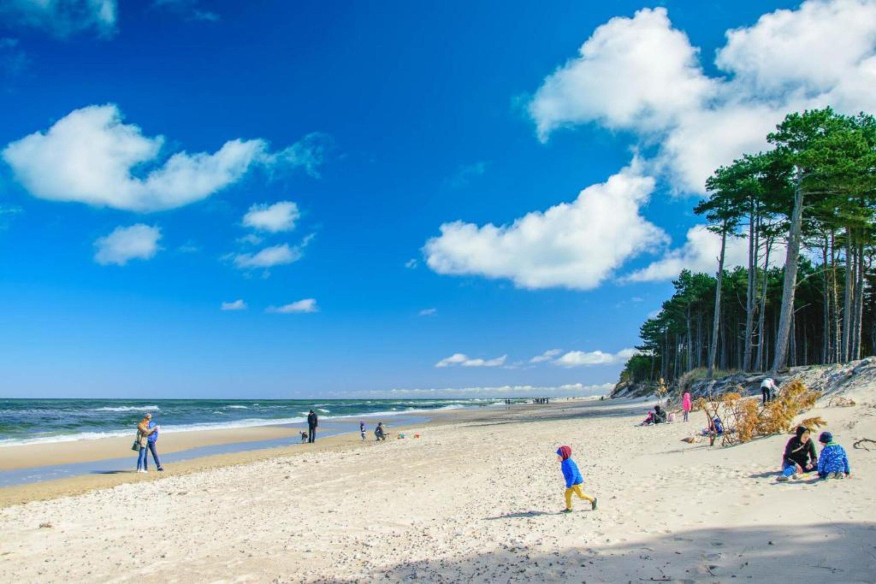 En strand med folk, der går og leger, klare himmel og træer i baggrunden.