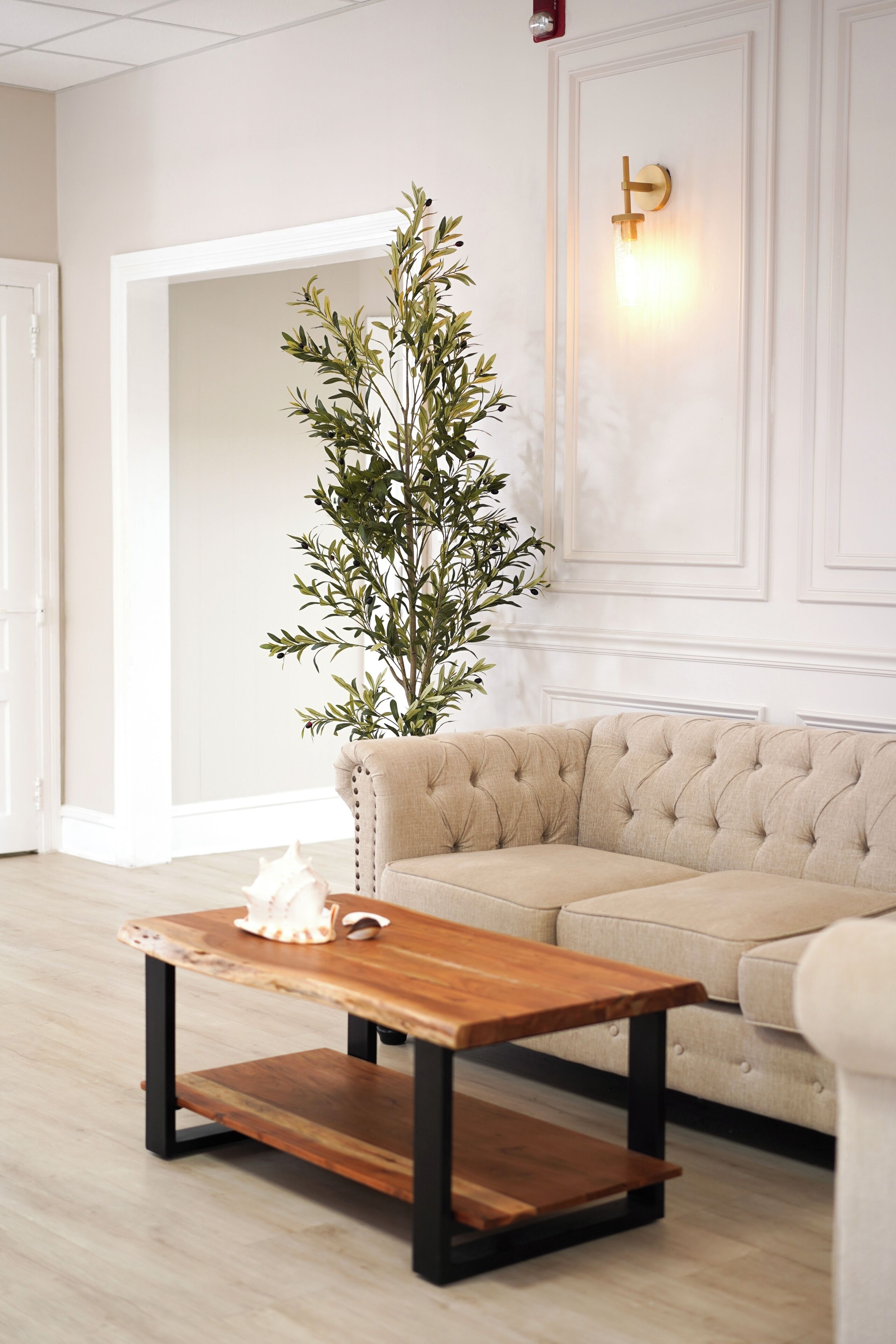 A living room with a beige sofa, a wooden coffee table, and a potted plant.