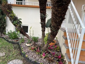 Exterior detail - Serene 4-bedroom house with AC in vibrant Tegucigalpa (Tegucigalpa)