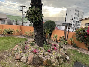 A landscaped garden with a palm tree, rocks, and flowering plants.