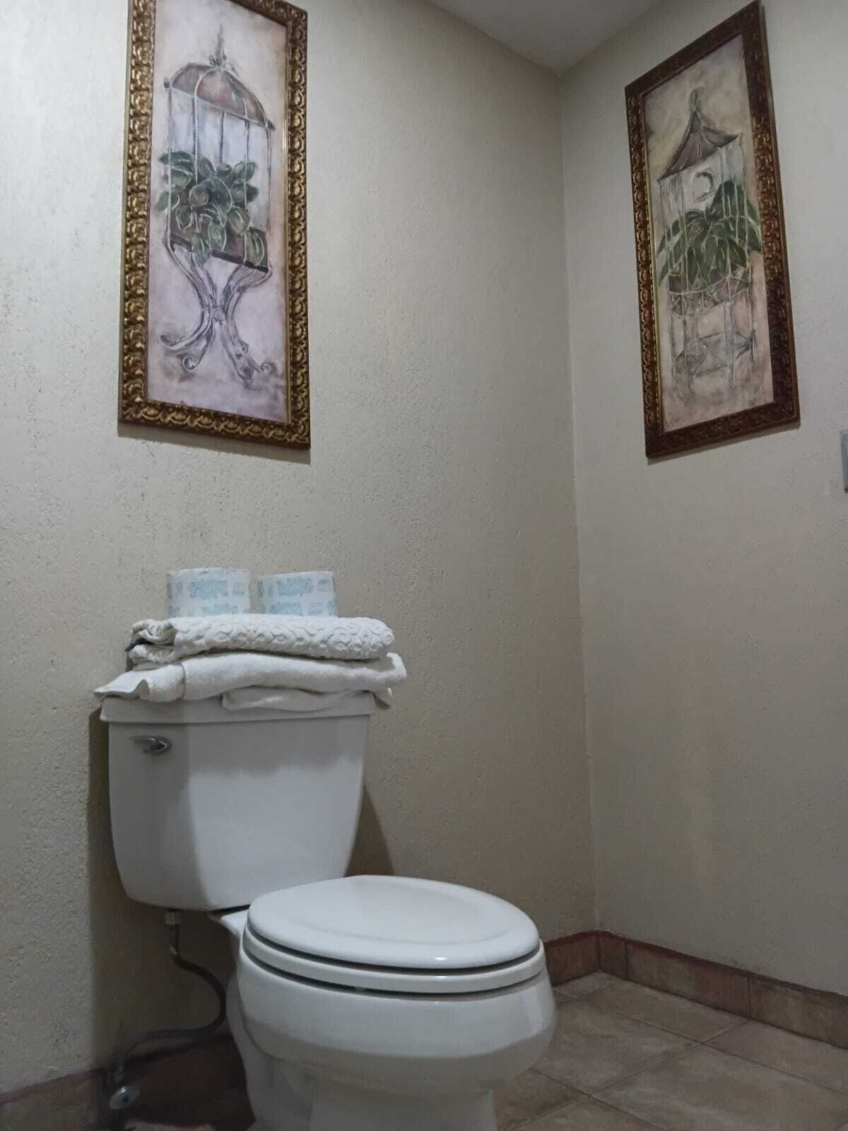 Towels, soap, shampoo, toilet paper