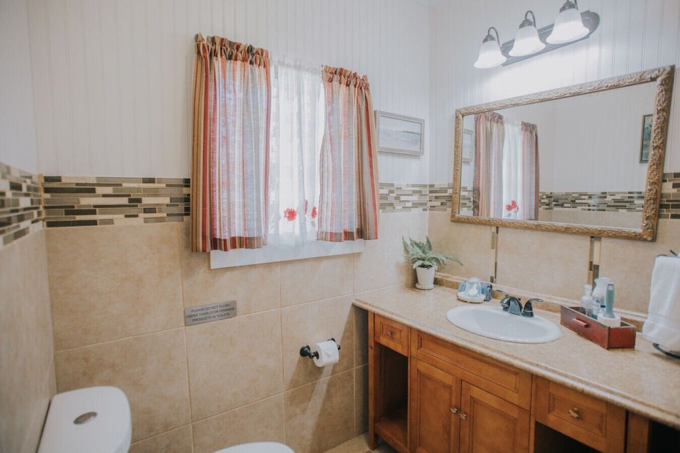 Ein Badezimmer mit Toilette, Waschbecken, Spiegel und Duschvorhang.