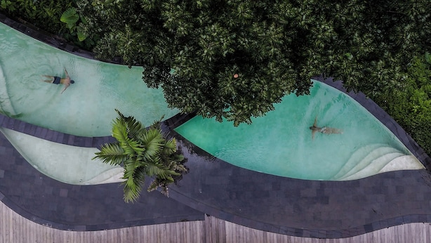 Una piscina con dos zonas diferenciadas, rodeada de abundante vegetación y una terraza de madera.