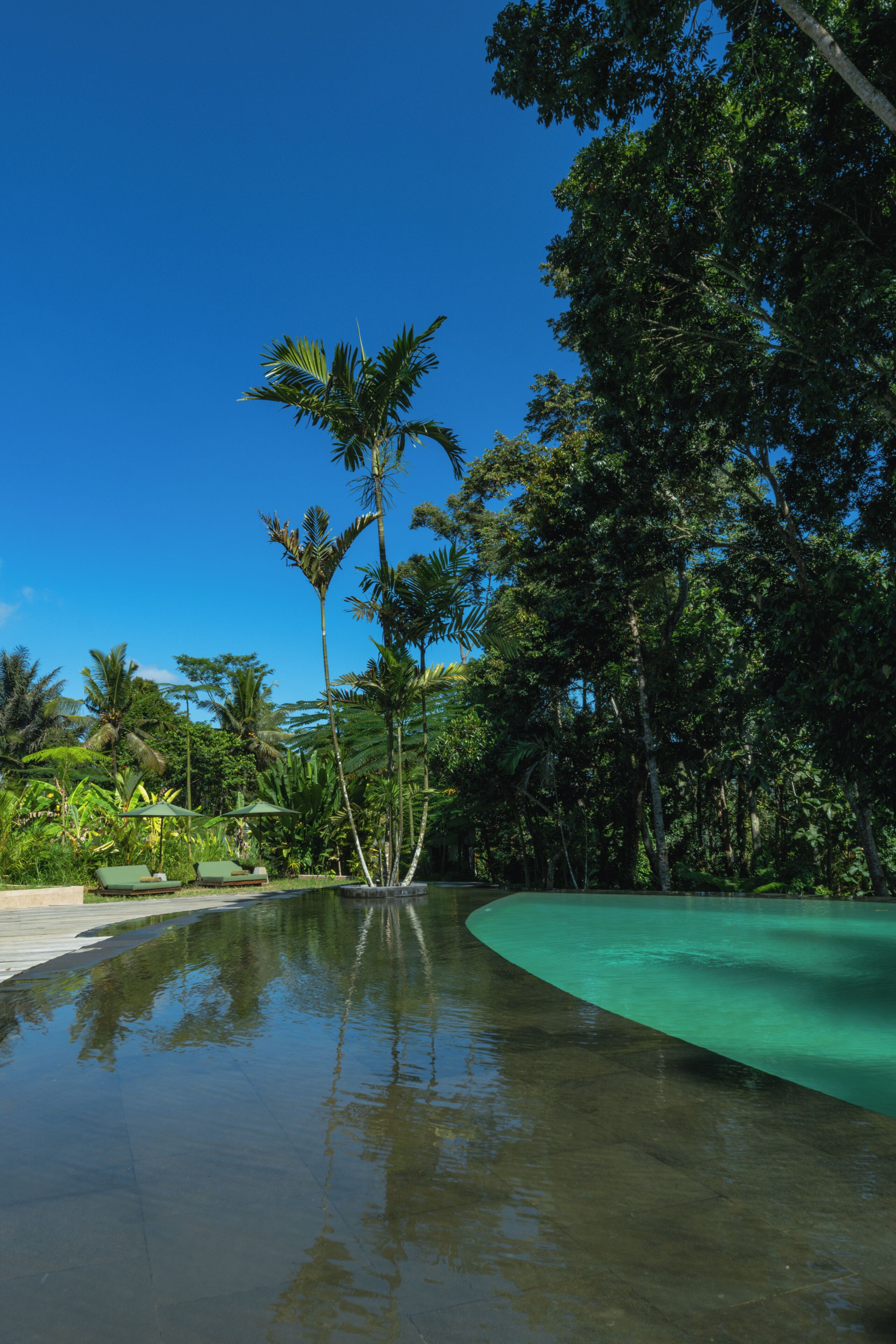 Una piscina con agua cristalina, rodeada de abundante vegetación y palmeras.