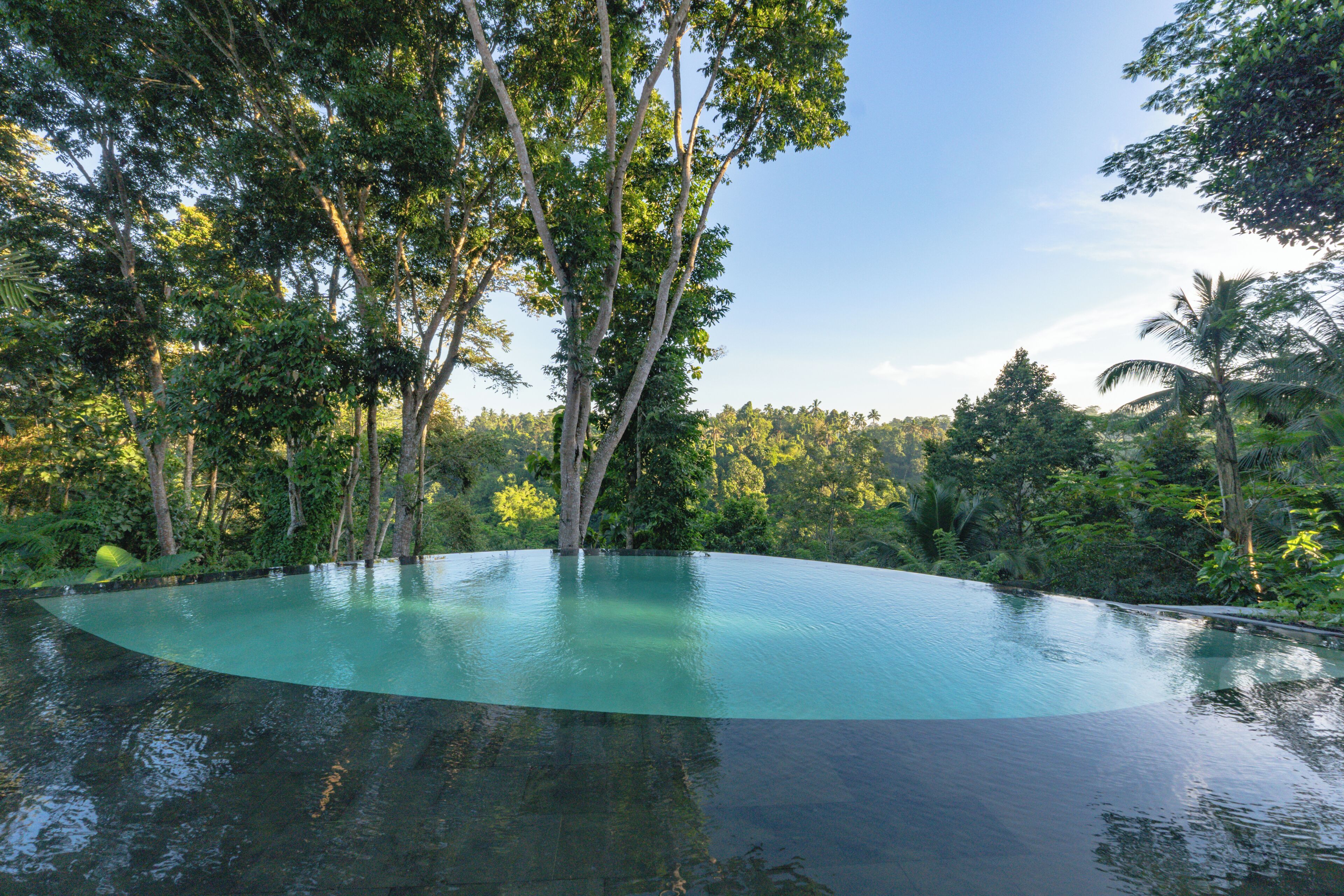 A natural pool surrounded by trees.