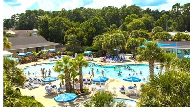 A pool area with lounge chairs and umbrellas, surrounded by palm trees and a building in the background.