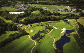 Golf - Studio Apartment Sleeps 4 with Parking (Rumney)