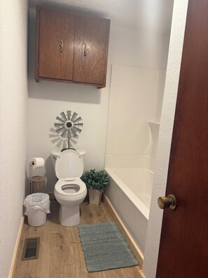 Bathroom - Charming 3-bedroom farmhouse in tranquil Mountain Grove. (Mountain Grove)