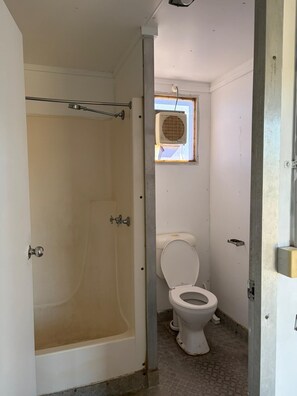 Shower, towels, soap, toilet paper