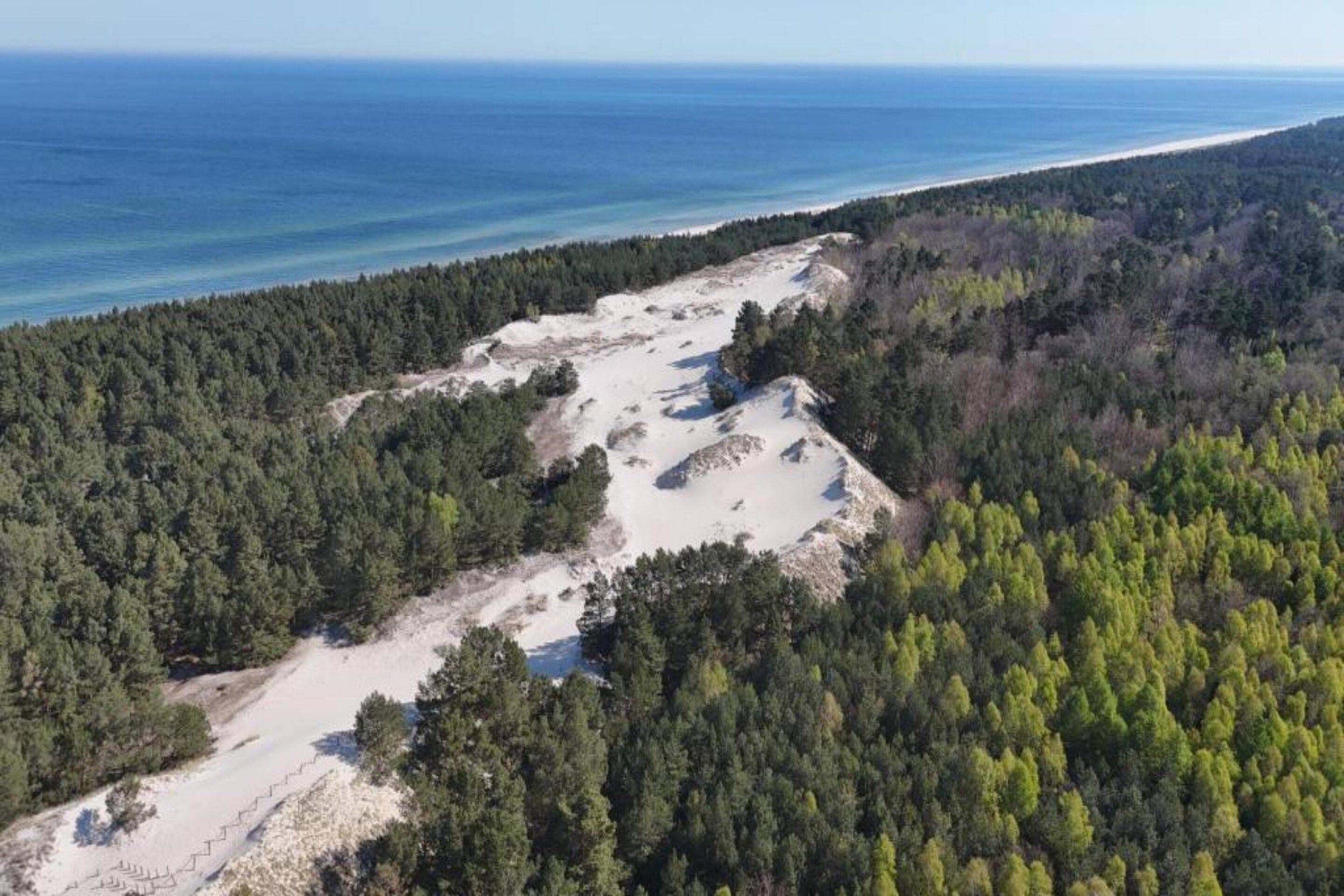 A coastal landscape with dense forest, a sandy area, and a view of the ocean.