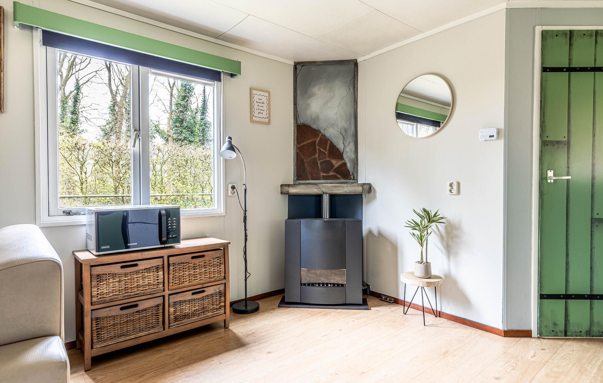 A room with a fireplace, a television, a lamp, a mirror, and a green door.