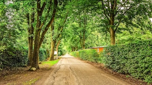 A rural road flanked by trees and a red building. - 2 bedroom gorgeous home in Erm (Erm)