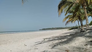 A beach with sand, palm trees, and a clear sky.