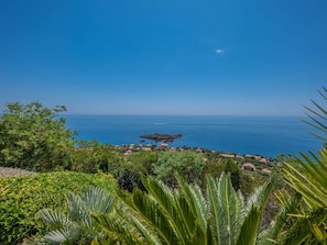 Eine Küstenlandschaft mit freiem Blick auf das Meer, einem Felsen und üppiger Vegetation.