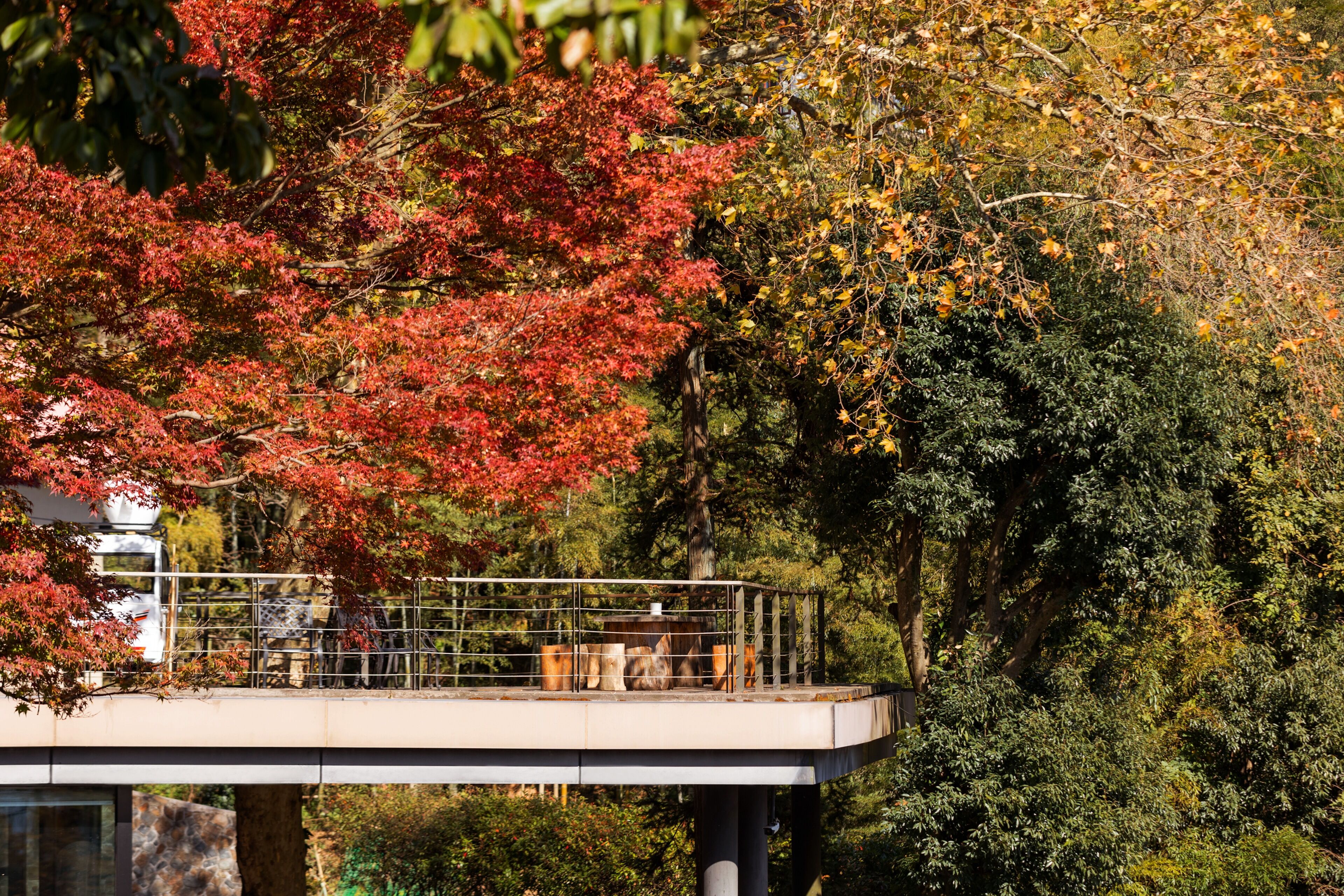 A modern building with a balcony overlooking a garden with autumn foliage.
