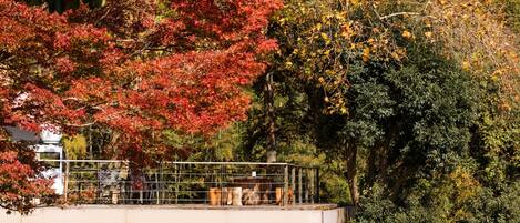 A modern building with a balcony overlooking a garden with autumn foliage.