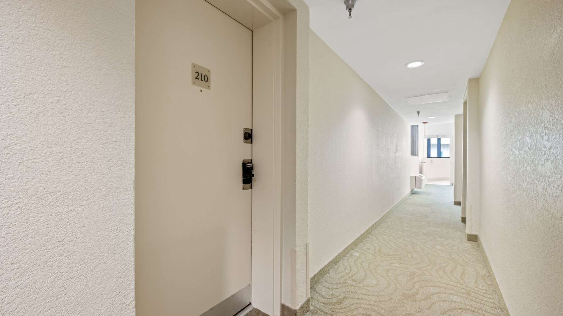 A hotel hallway with a door labeled '210', a textured carpet, and a ceiling light.