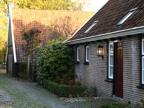 Esterni