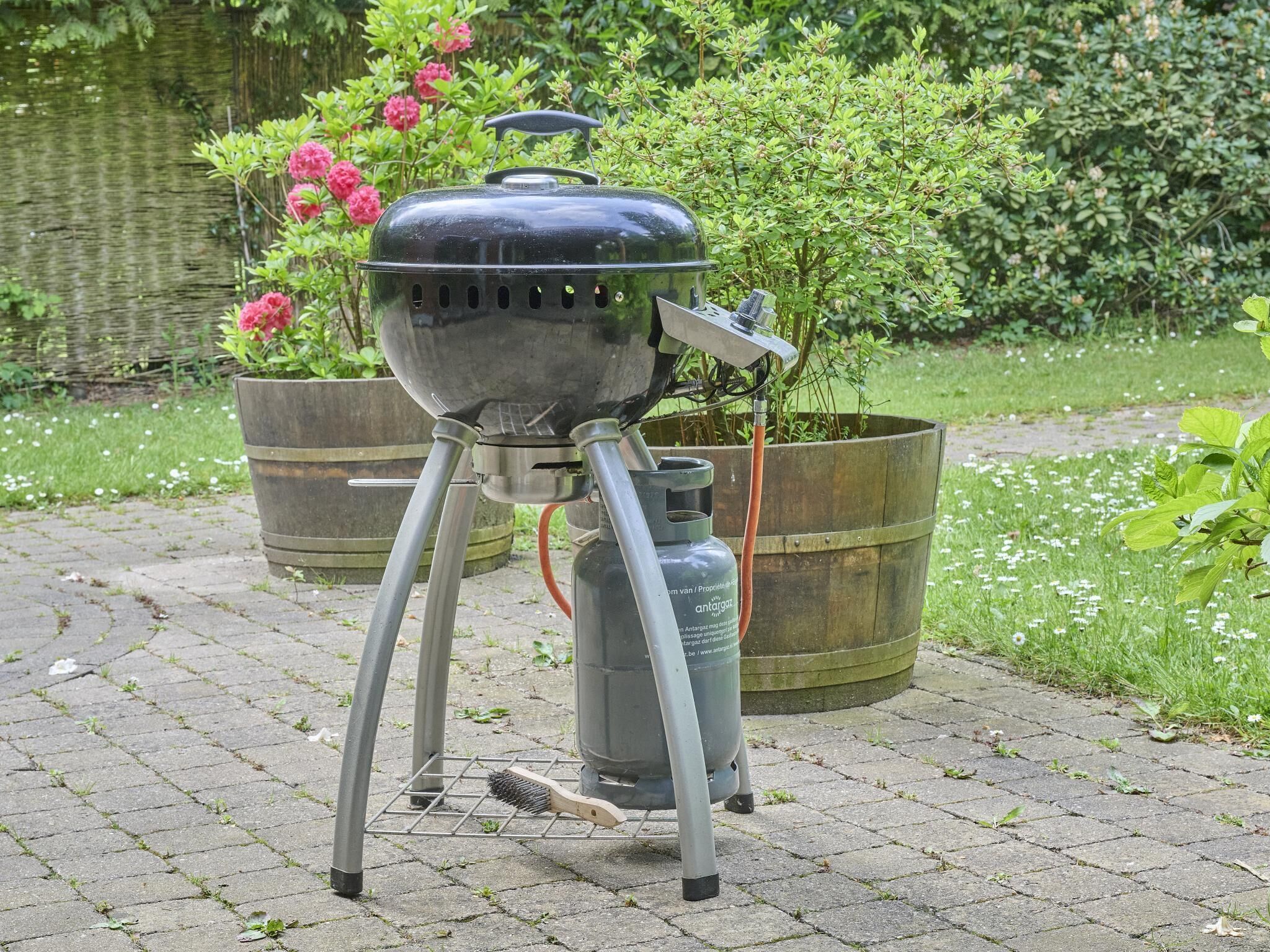 Una parrilla portátil de barbacoa con tanque de propano, ubicada sobre un sendero pavimentado en un jardín.