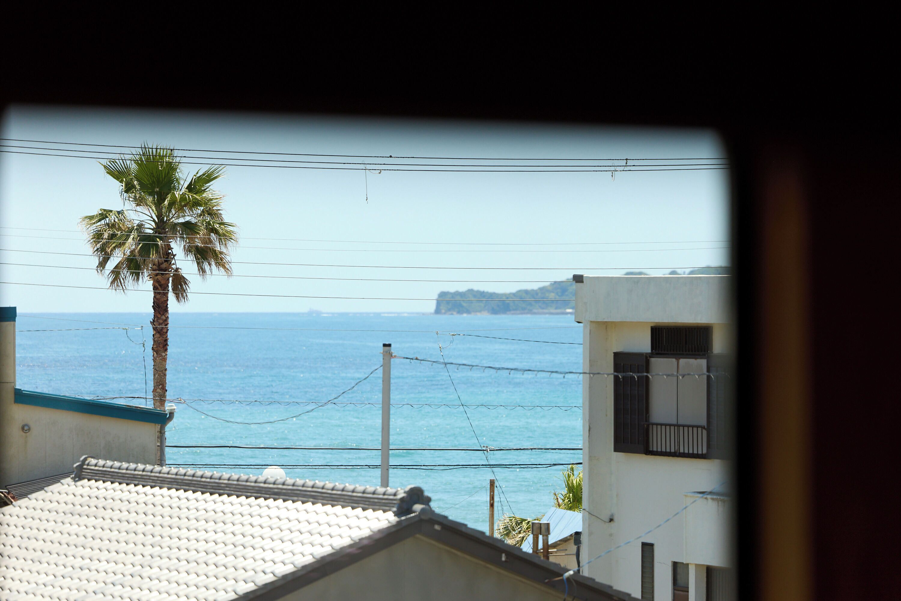 A coastal view with a palm tree, a building with barred windows, and a clear sky.