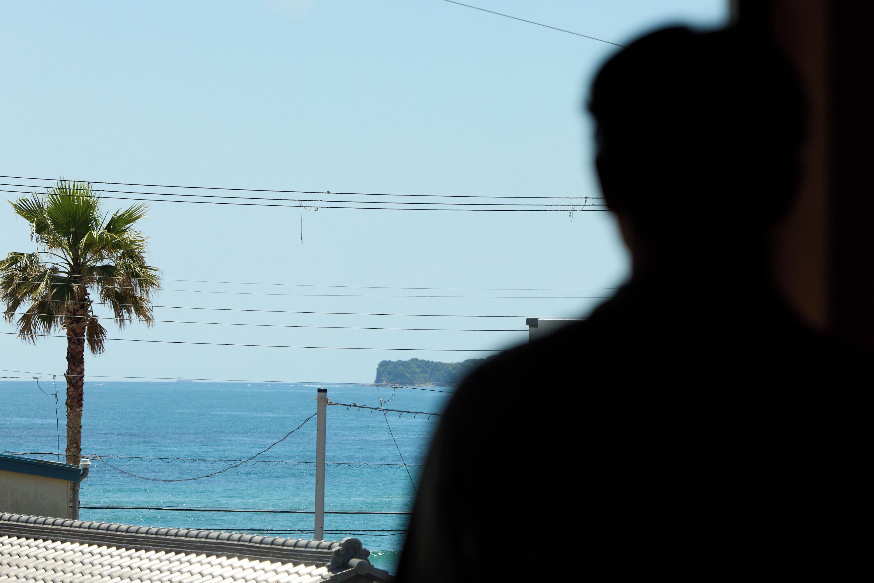 A silhouette of a person, a palm tree, and a view of the sea with a distant landmass.