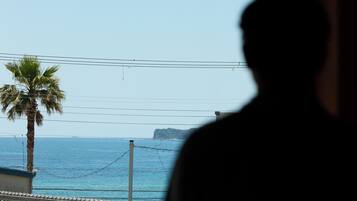 A silhouette of a person, a palm tree, and a view of the sea with a distant landmass.