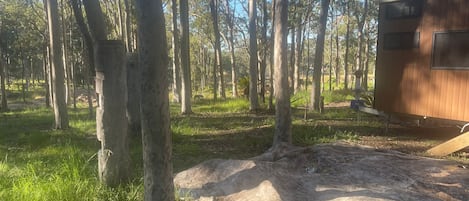 Parco della struttura