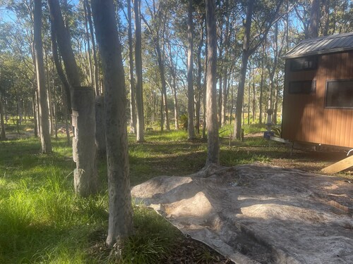 Wych Wood Bush Hideaway 2 by Tiny Away