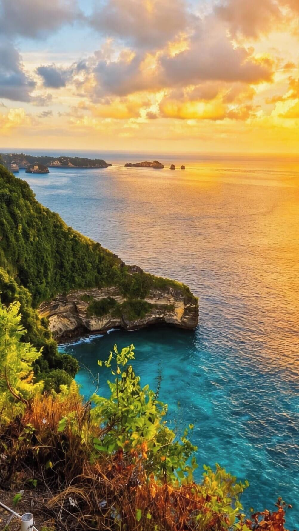 A coastal landscape with a clear view of the sea, a rocky outcrop, and dense greenery.