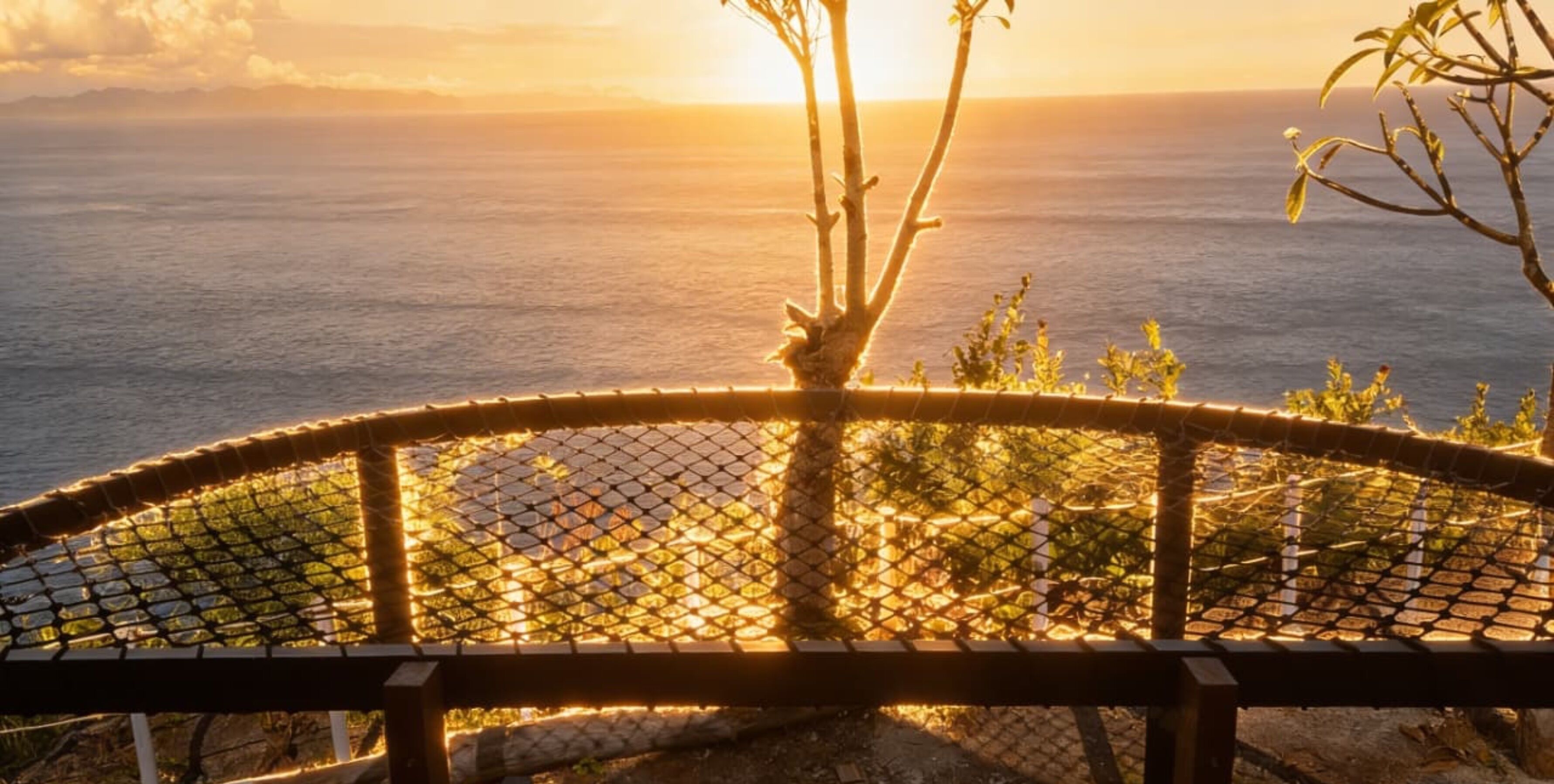 A view through a chain-link fence with a tree in the foreground and the ocean in the background.
