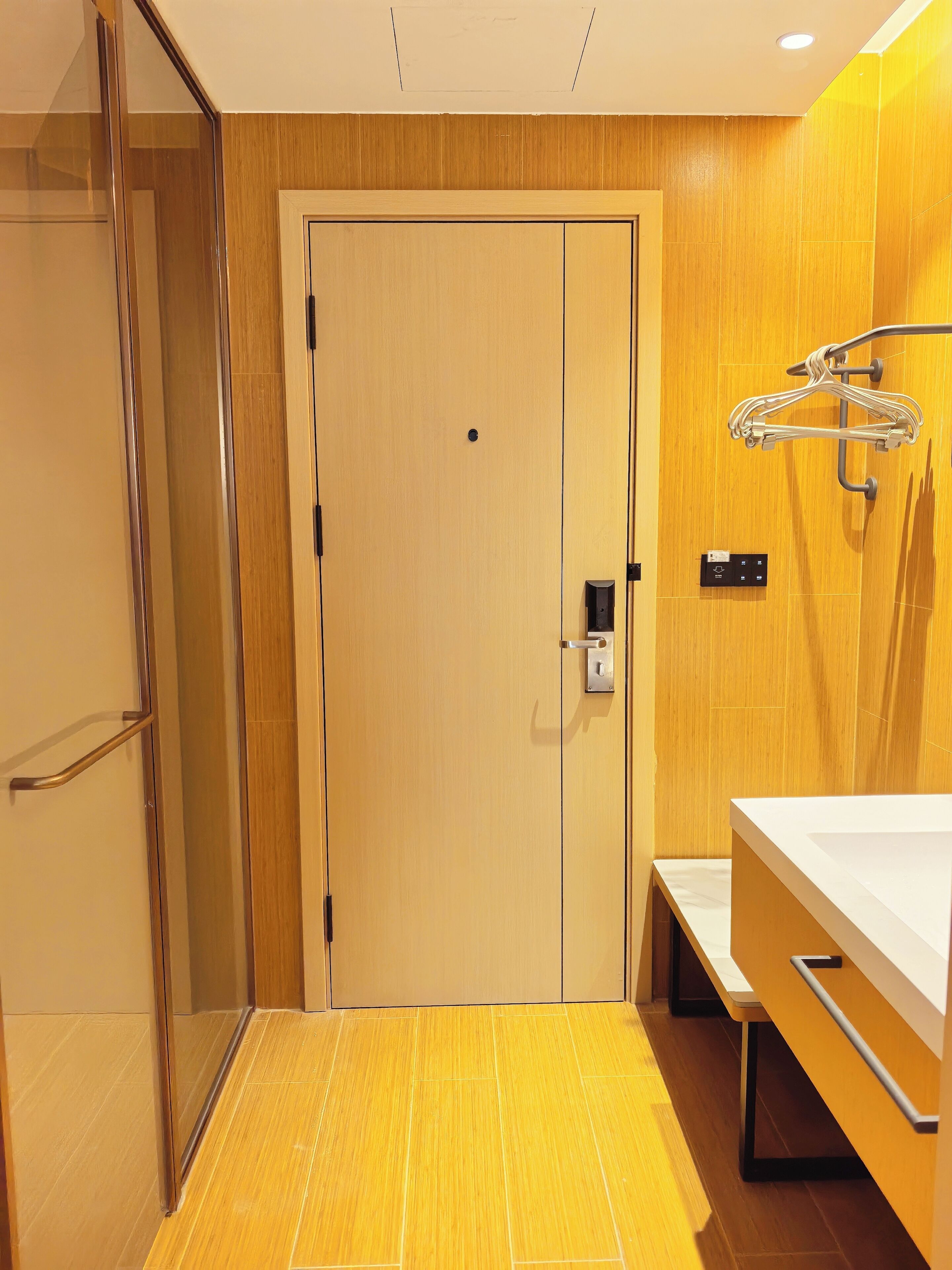 A hotel room with a wooden door, a shower area, and a bathroom counter.