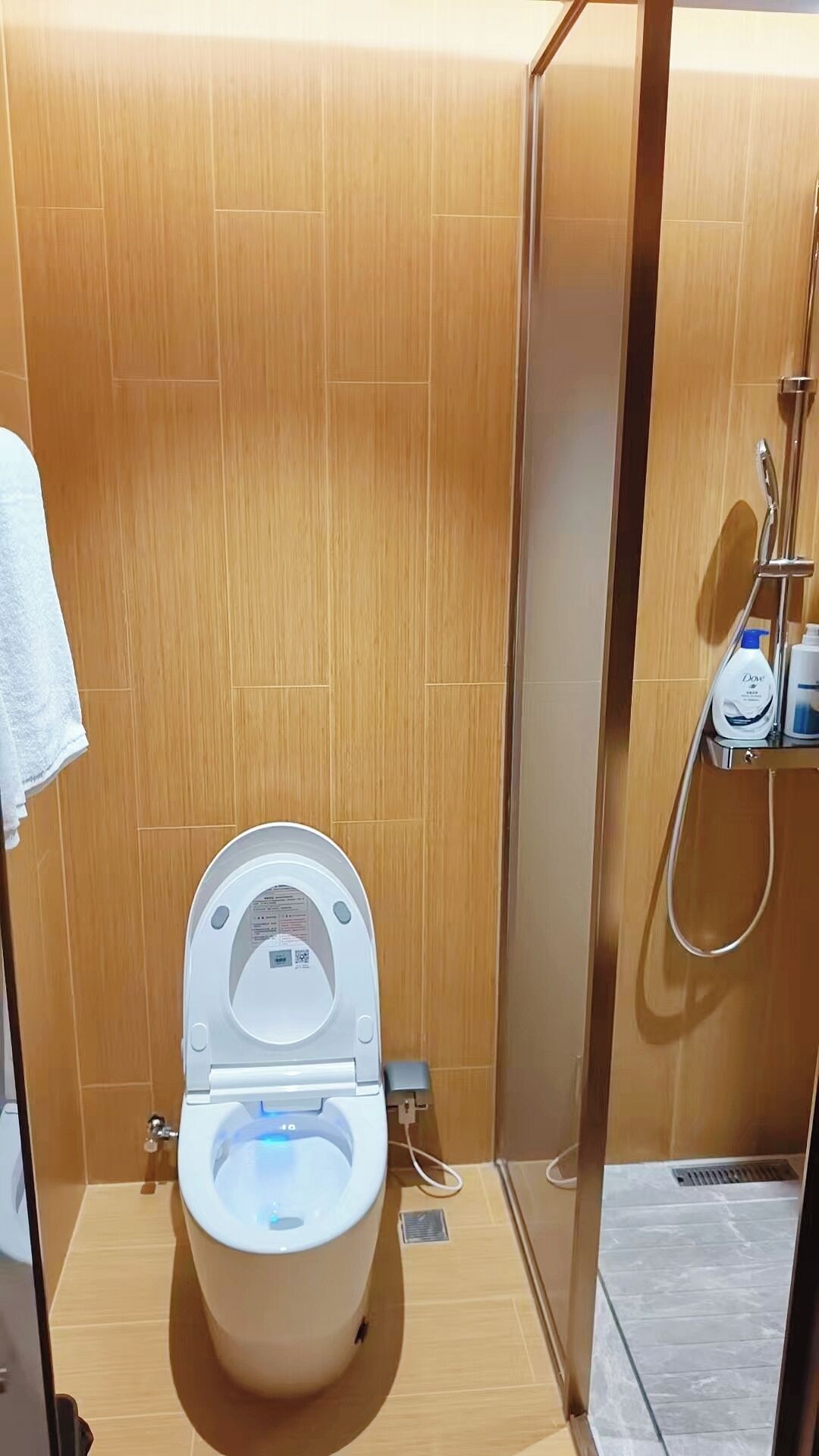 A modern bathroom with a toilet, a glass shower enclosure, and a shelf with toiletries.