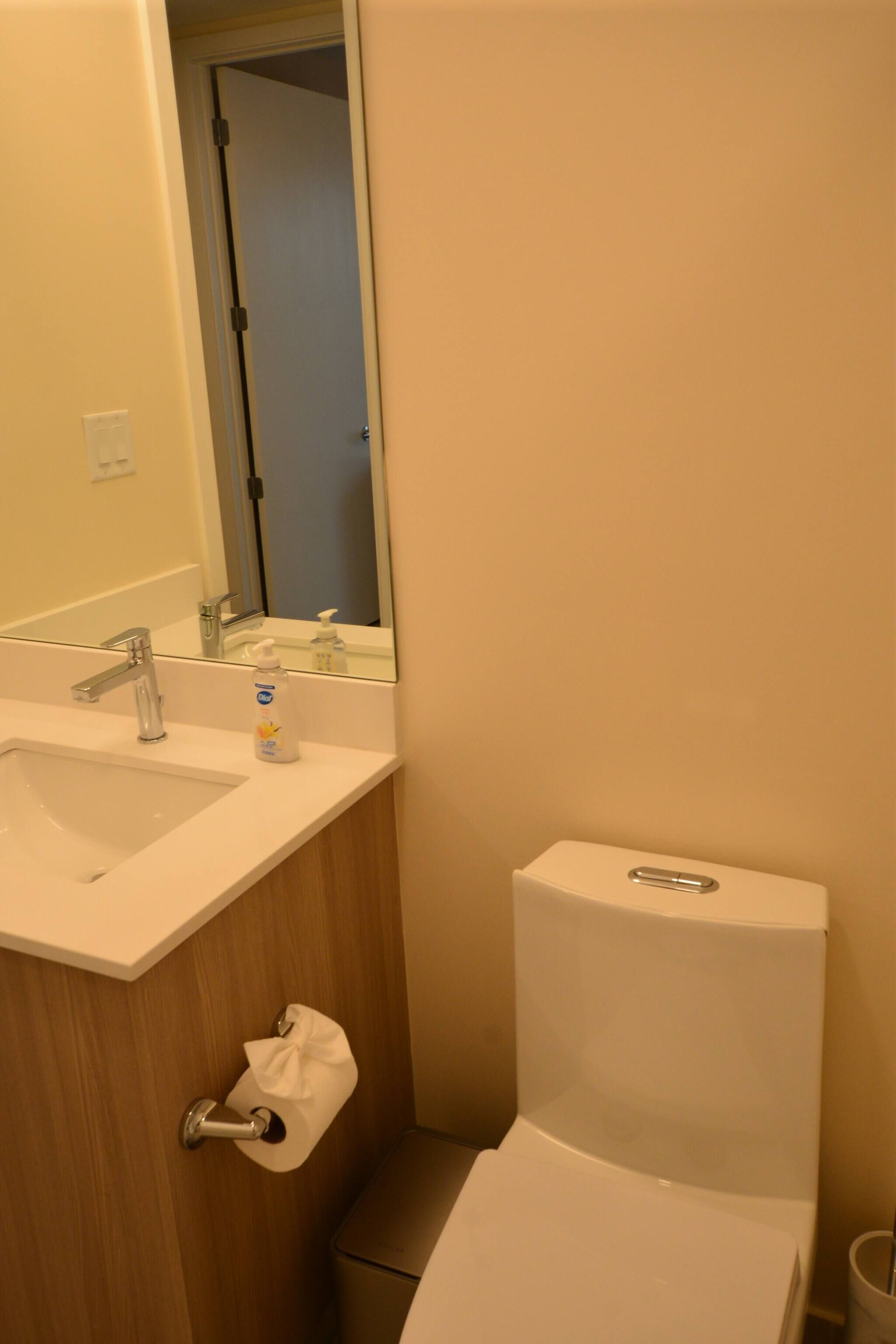 Un bagno con un lavandino bianco, uno specchio e un water.