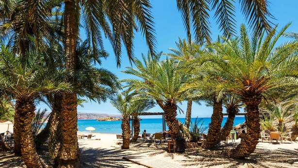 Een strand met palmbomen, een houten terras en uitzicht op zee.