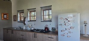 Fridge, oven, cookware/dishes/utensils
