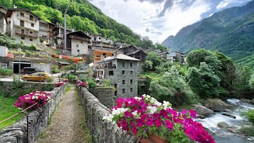 Parco della struttura