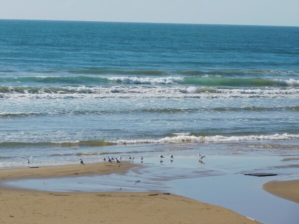 A beach with waves, sand, and birds. - Villa in Marina Di Modica with 3 bedrooms sleeps 7 (Marina Di Modica)