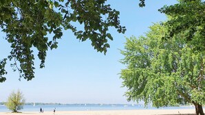 A beach with a clear sky, a tree, and sailboats in the distance.