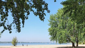 Uma praia com uma árvore grande, céu claro e veleiros ao longe.