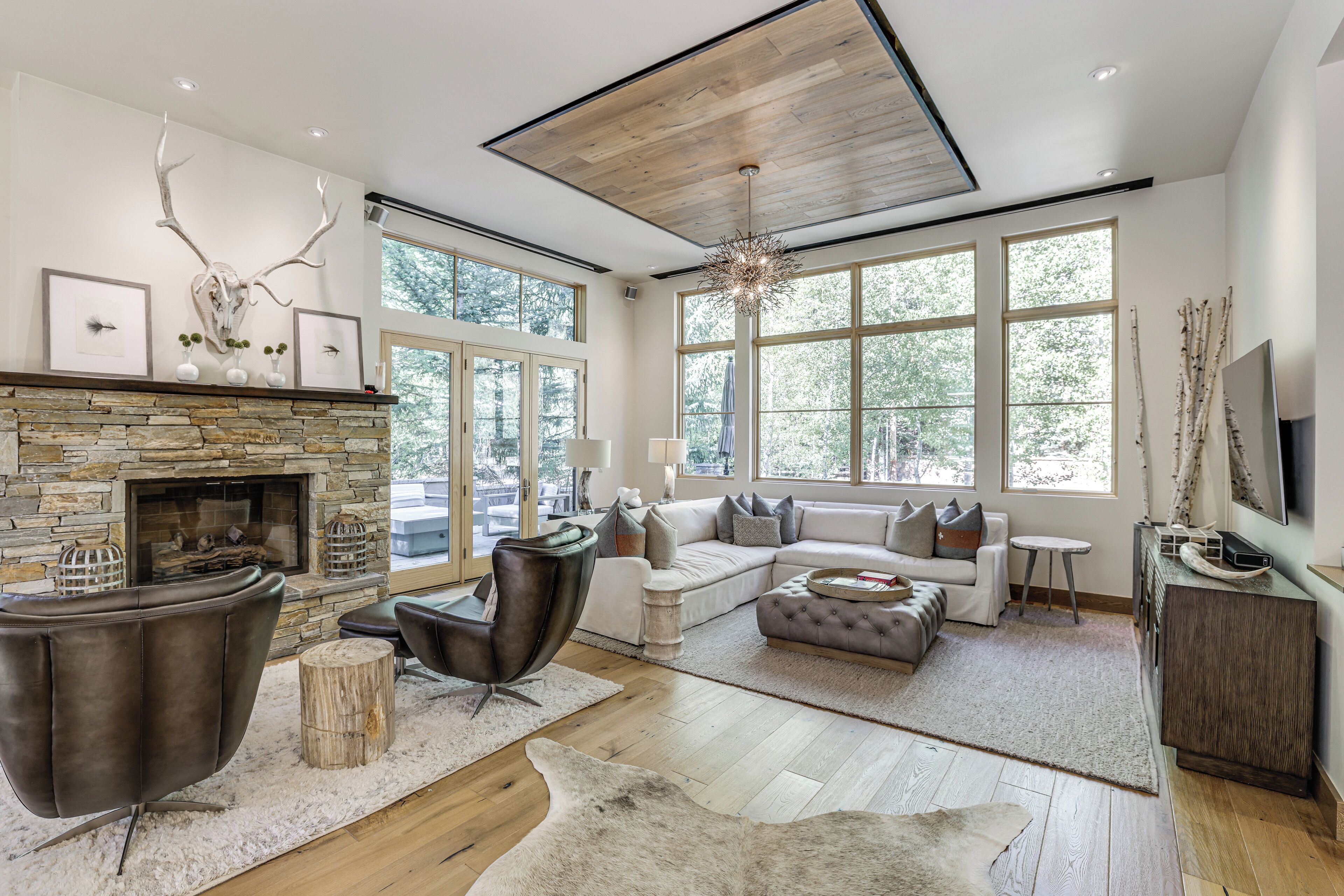 TV, fireplace, video games, books