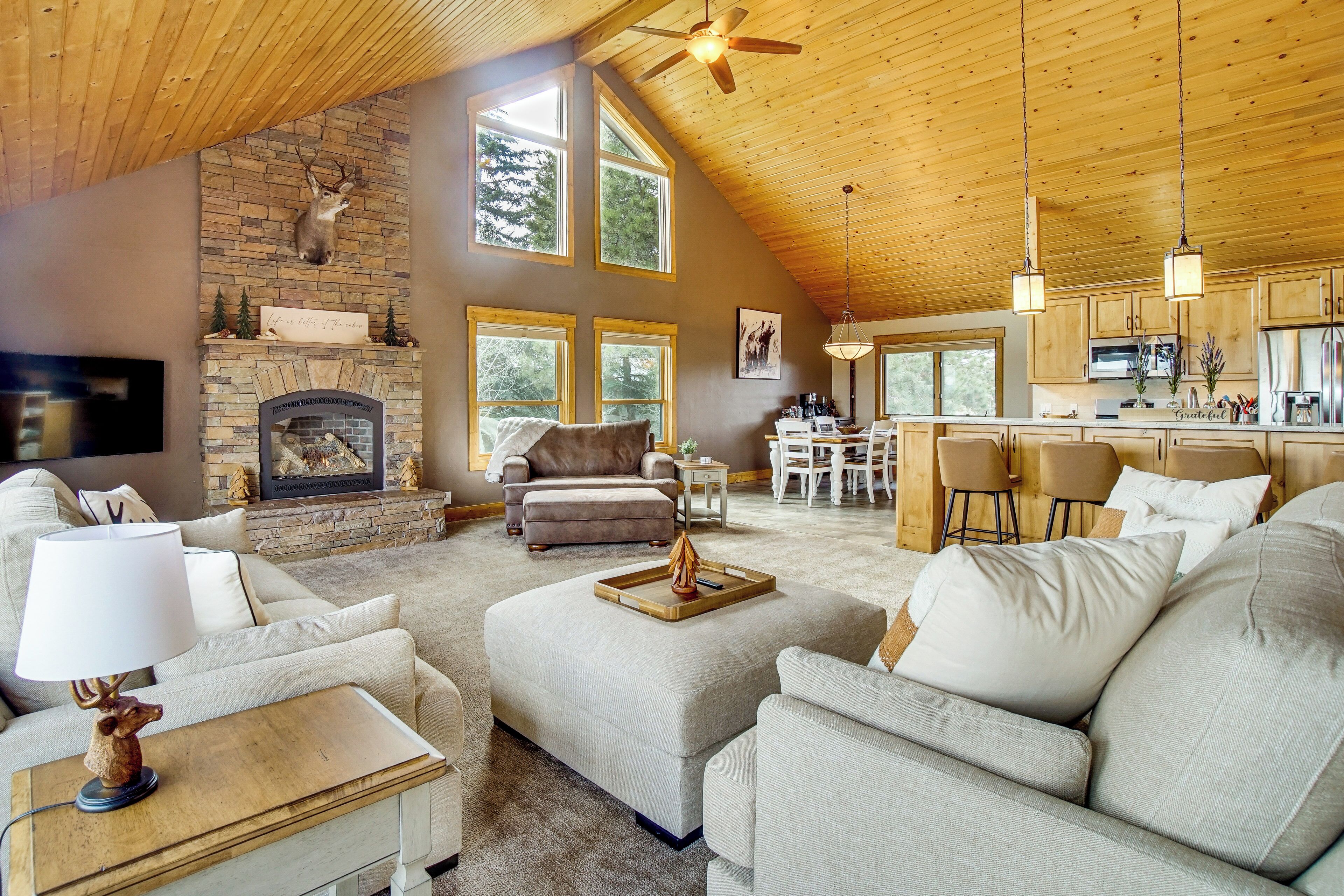 TV, fireplace