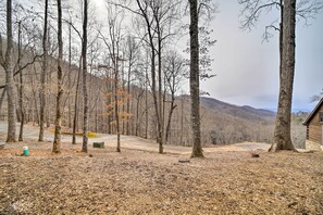 Ein bewaldetes Gebiet mit einem Feldweg, der zu einer Holzhütte führt.