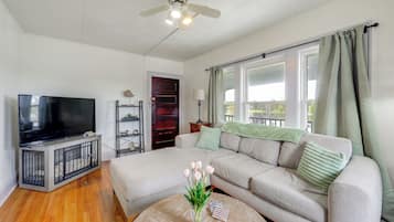 TV, fireplace, books