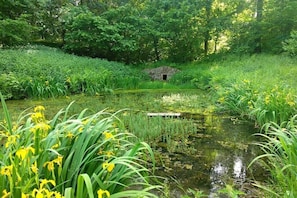 Ein Teich, umgeben von üppigem Grün und einem Steinbau.