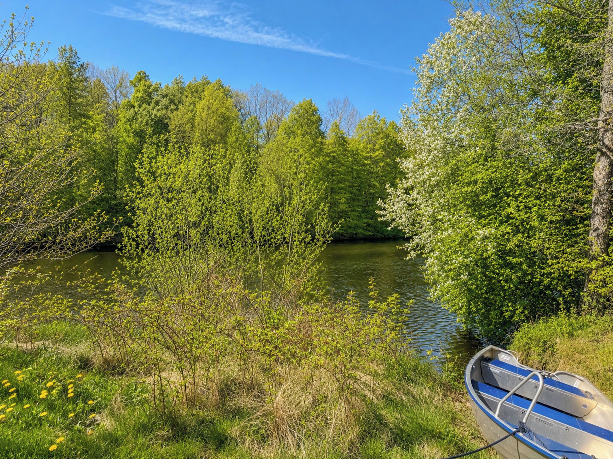 A river with dense greenery on both sides, a boat tied to the shore, and a clear blue sky.