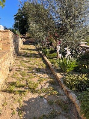 Ein Gartenpfad mit Steinbelag, umgeben von verschiedenen Pflanzen und Blumen.