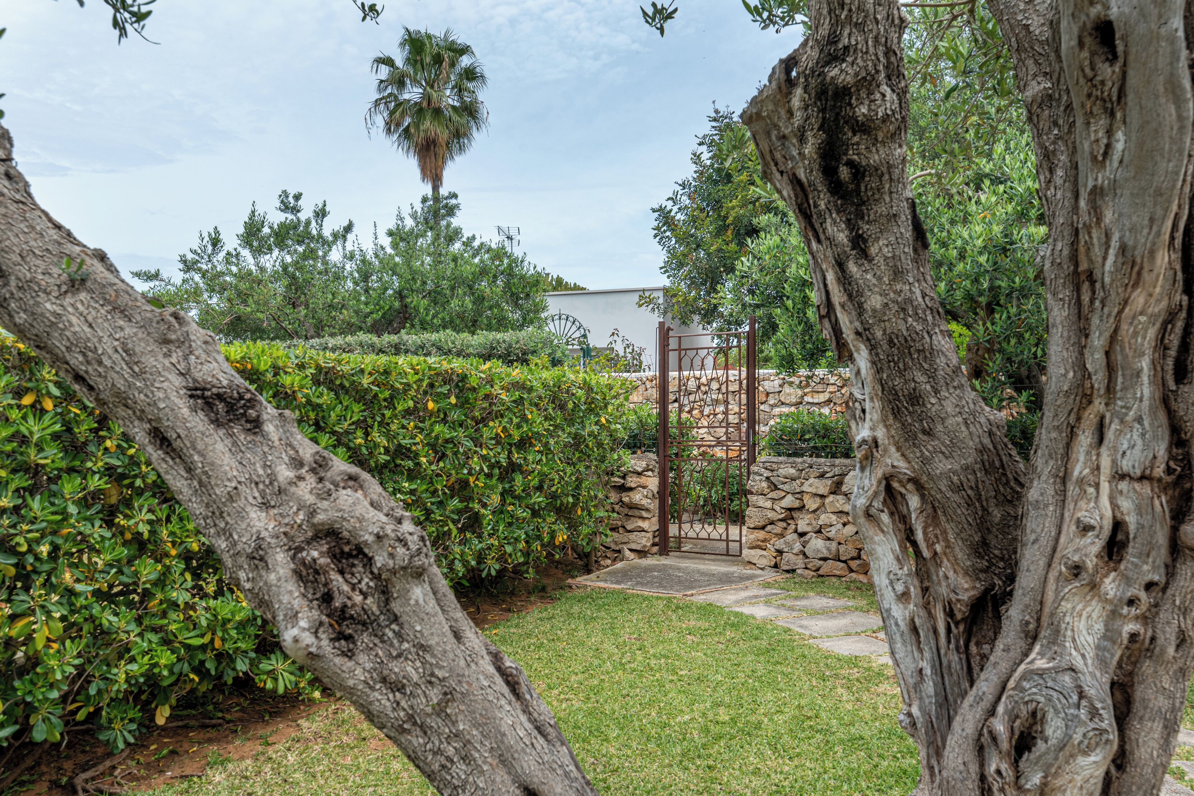 Un jardín con un muro de piedra, una reja de metal y una palmera.