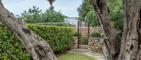 Un jardín con un muro de piedra, una reja de metal y una palmera.