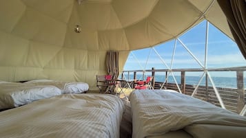 Desk, free WiFi, bed sheets