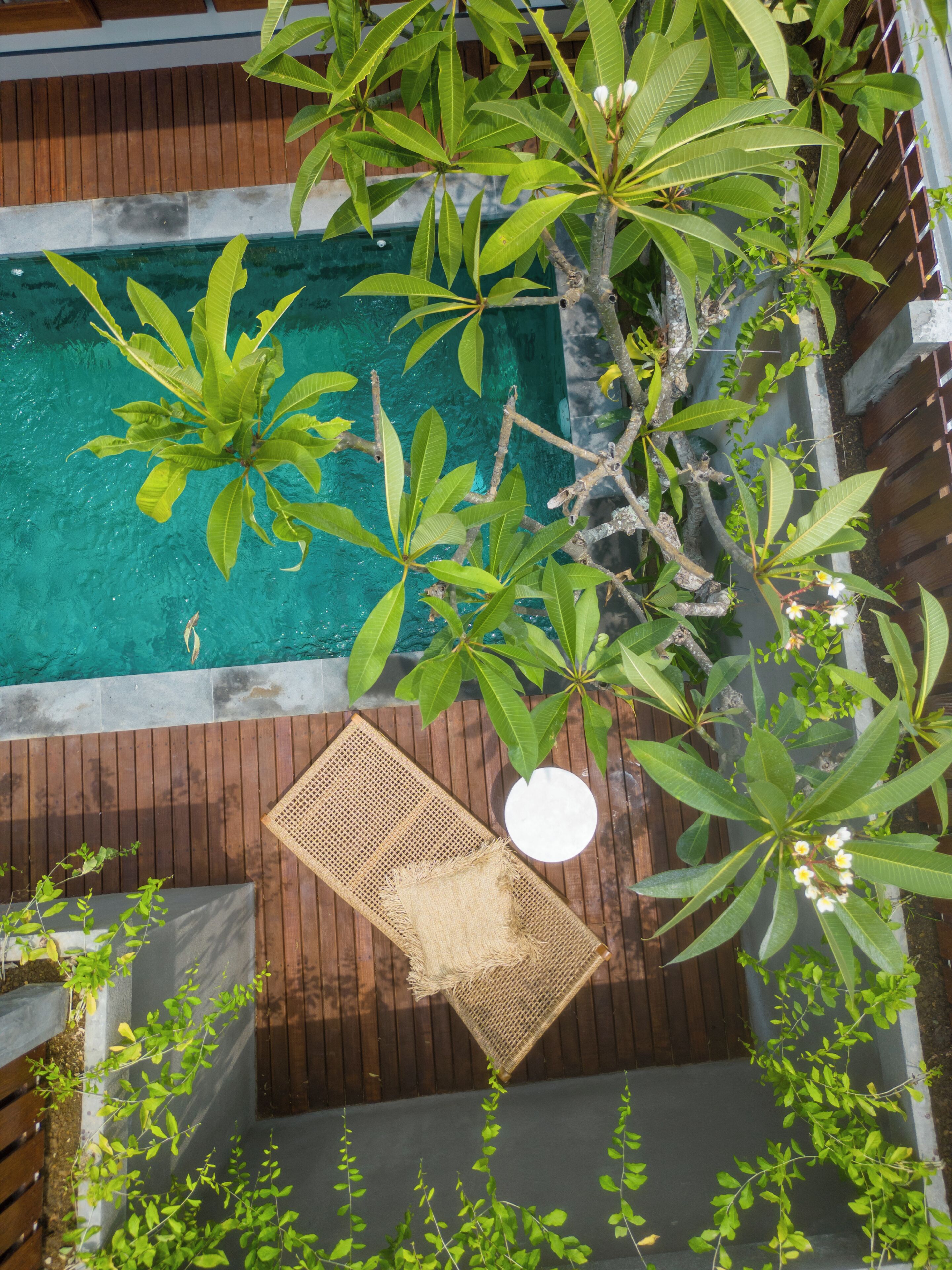 A rooftop pool area with a wooden deck, surrounded by lush greenery and a hanging chair.